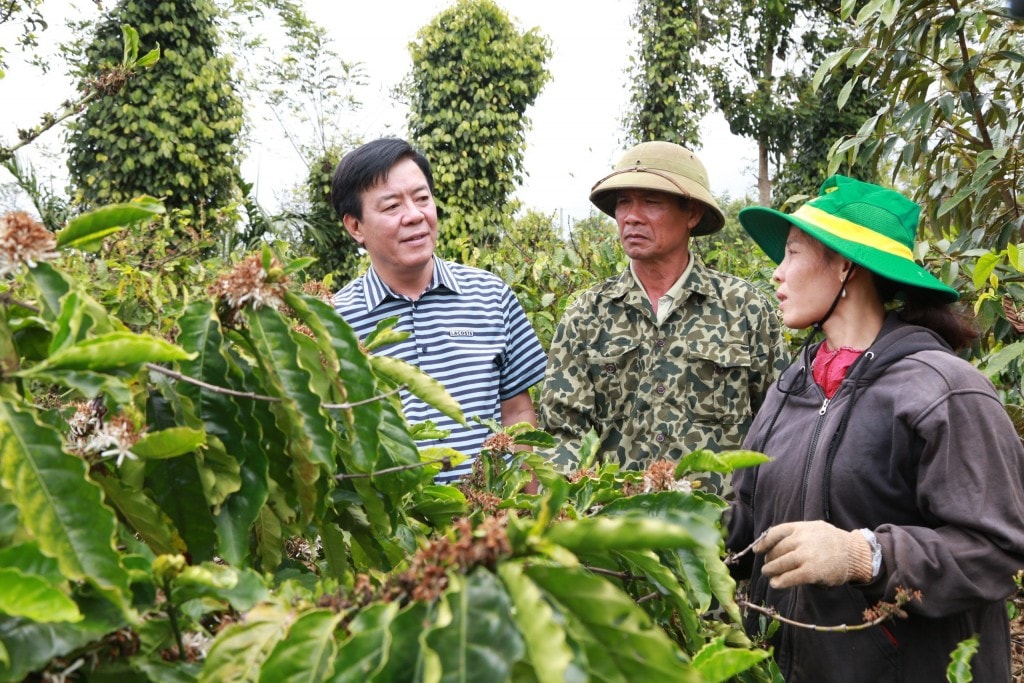 Bình Điền – tầm nhìn tiên phong xanh hóa - số hóa