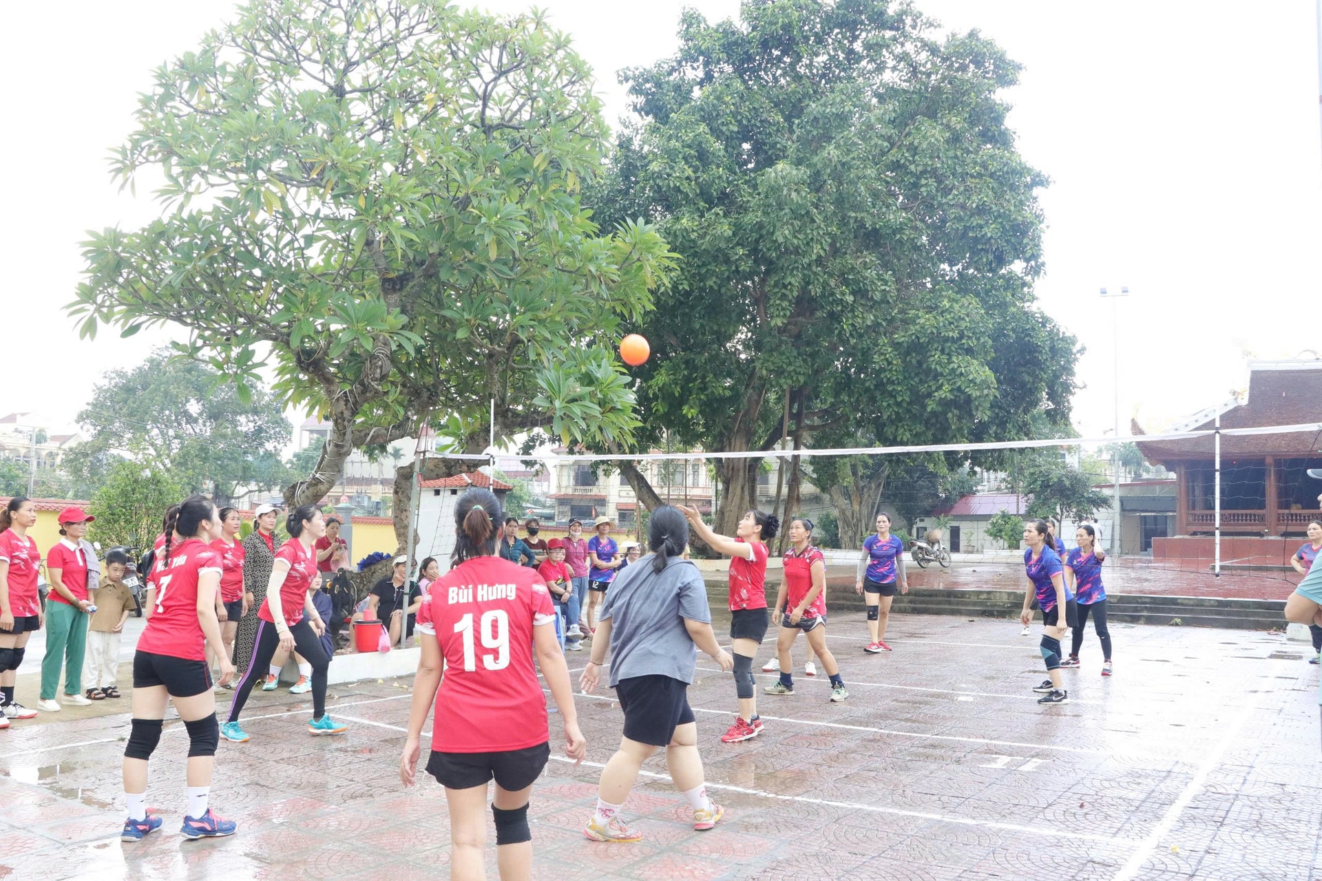volleyball-game.jpg
