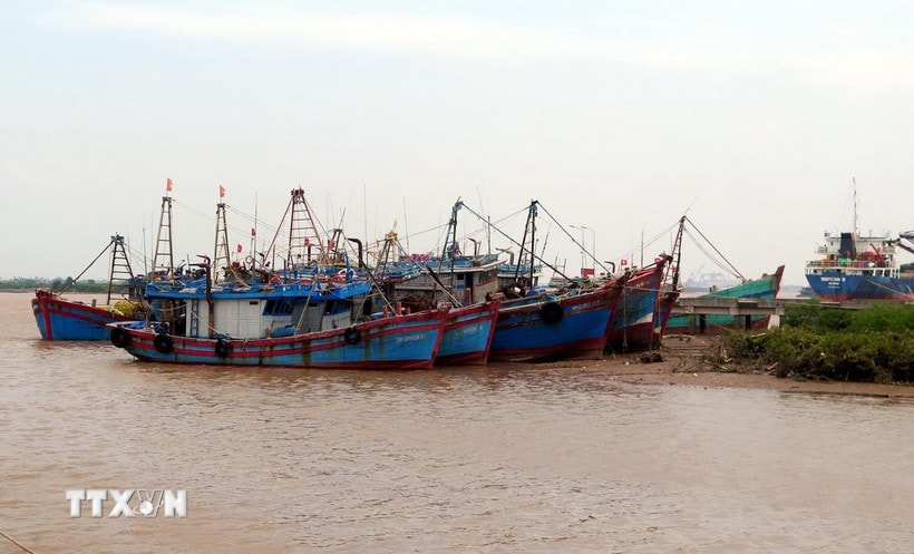 Nhiều tàu, thuyền đã được đưa vào nơi tránh trú bão an toàn tại Cảng cá Hải Thịnh, xã Hải Thịnh, tỉnh Ninh Bình. (Ảnh: Thái Thuần/TTXVN)