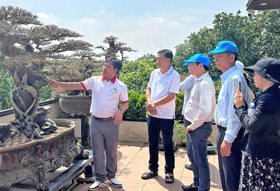 nong-2.jpg