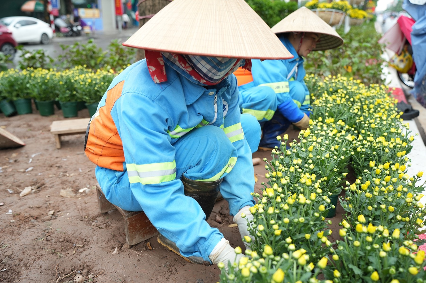 Dải phân cách bị dập nát được thay bằng những chậu hoa mới