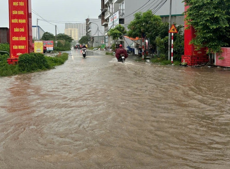 hoai-duc.jpg