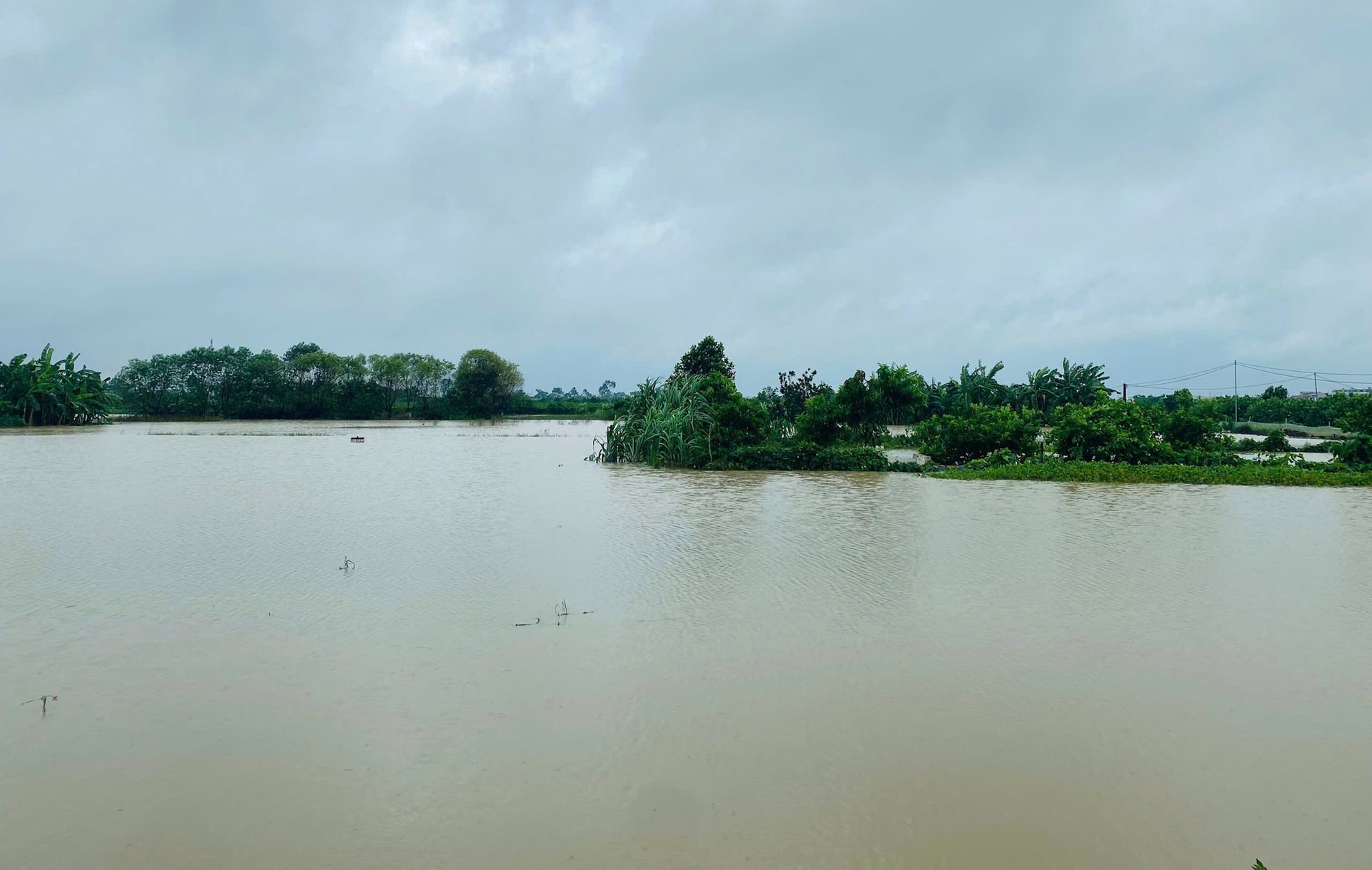 hoai-duc6.jpg