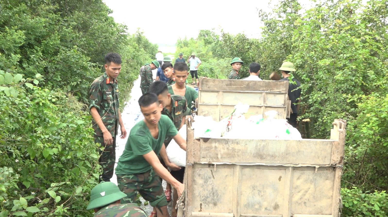 kieu-phu9.jpg