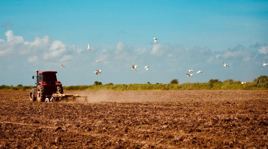 Phim tái hiện hành trình Việt Nam chuyển giao những giống lúa đặc biệt, trong đó có giống lúa CT16, sang Cuba. (Ảnh: VTV)