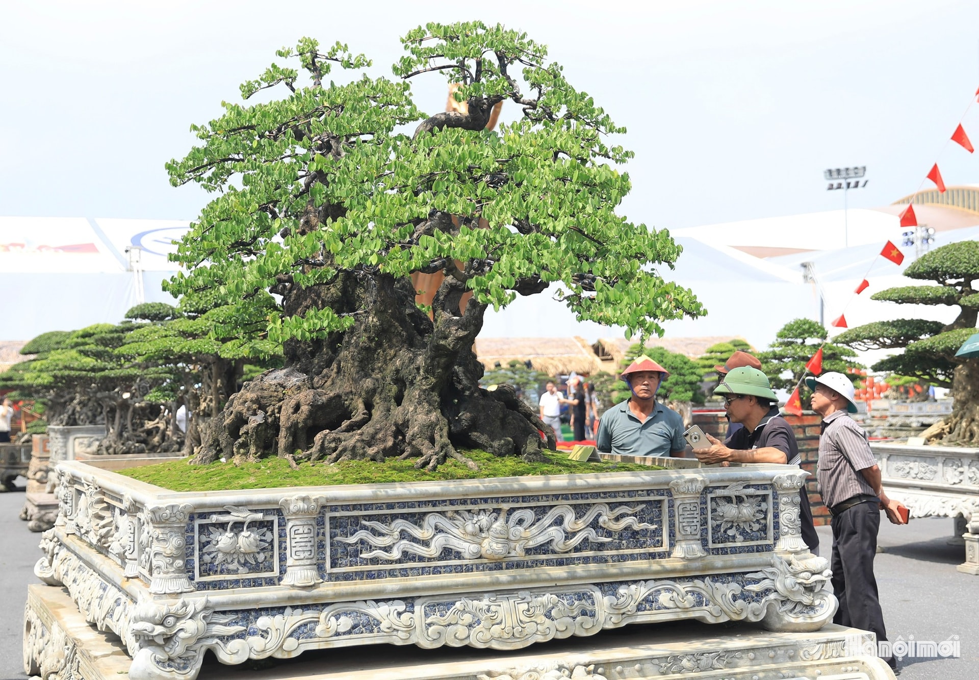 W_hnm-quangthai-12.jpg