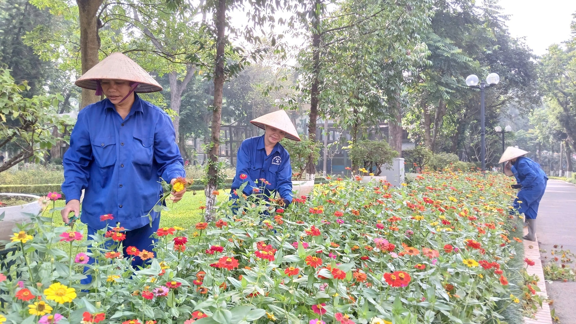 cong-vien-bach-thao.jpg