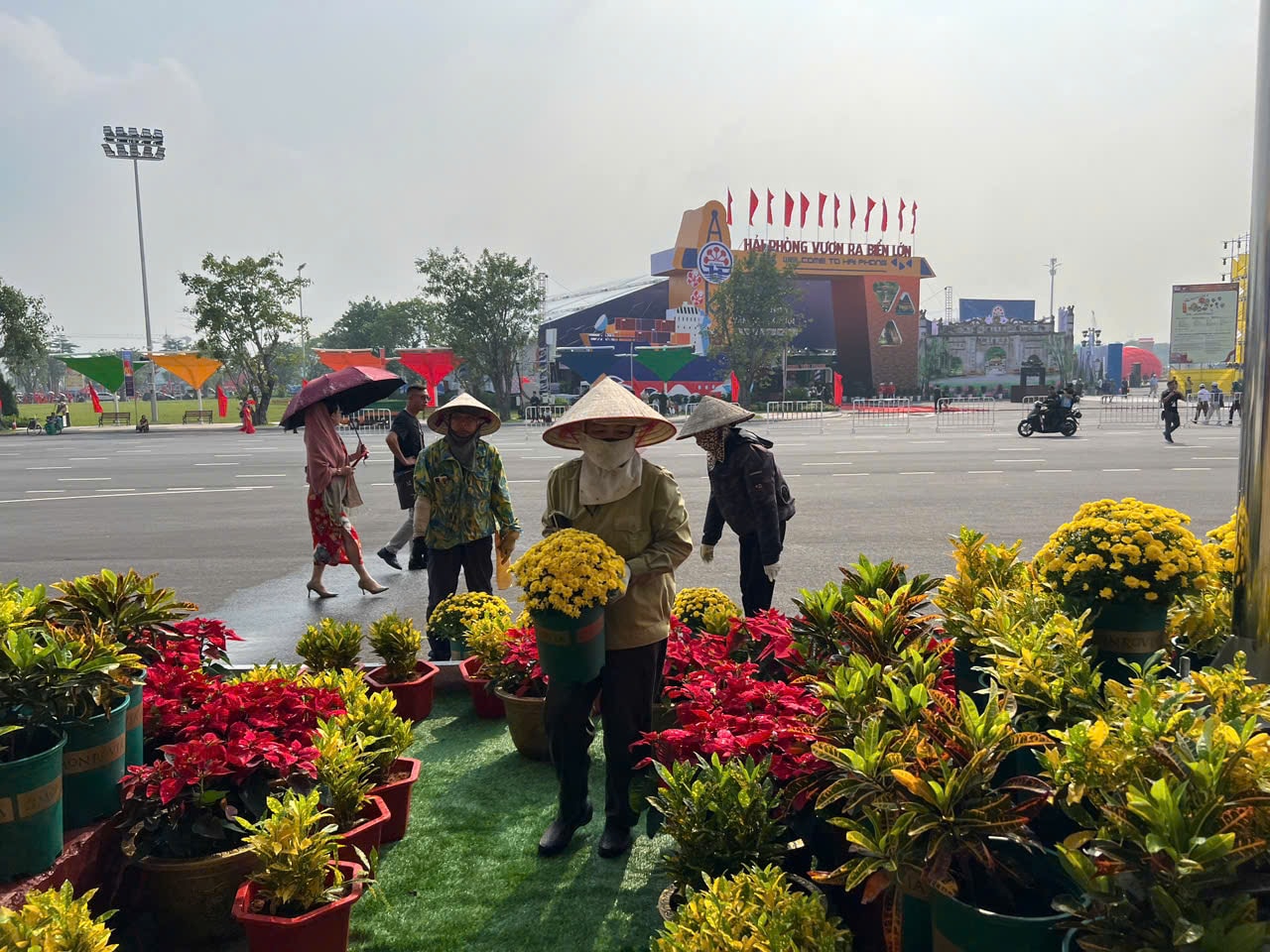 Chăm sóc cây hoa phục vụ 80 năm Quốc khánh 2-9
