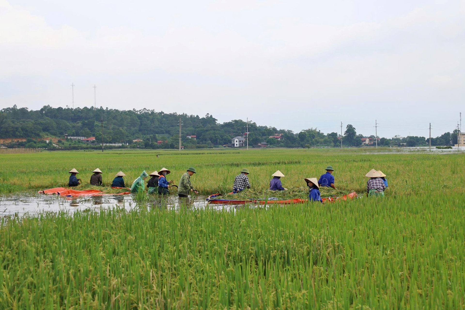 tung-thien-1.jpg