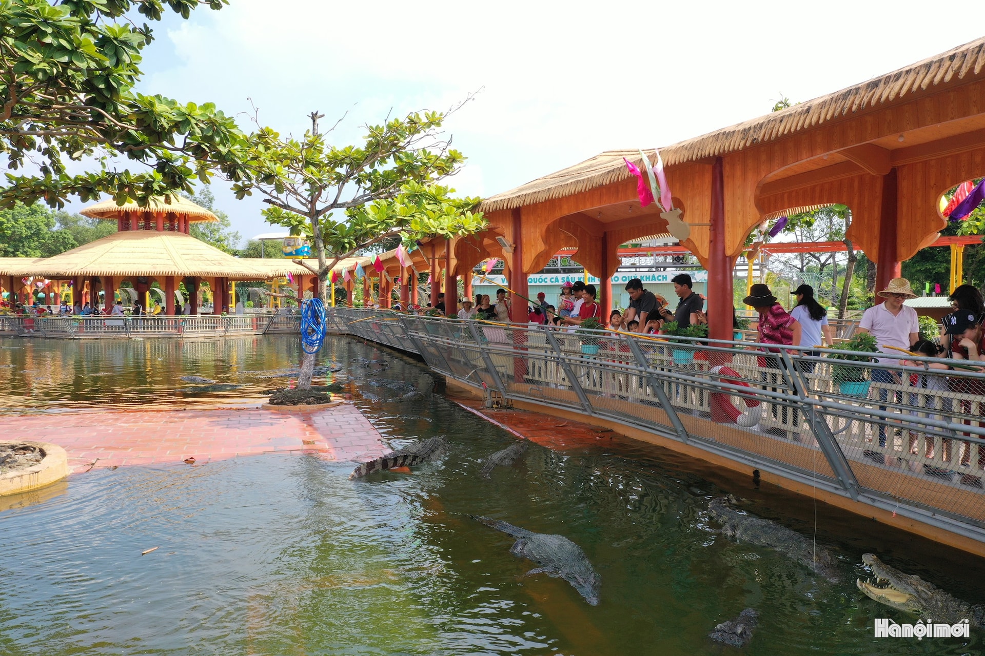 W_vuong-quoc-ca-sau-2-1-.jpg