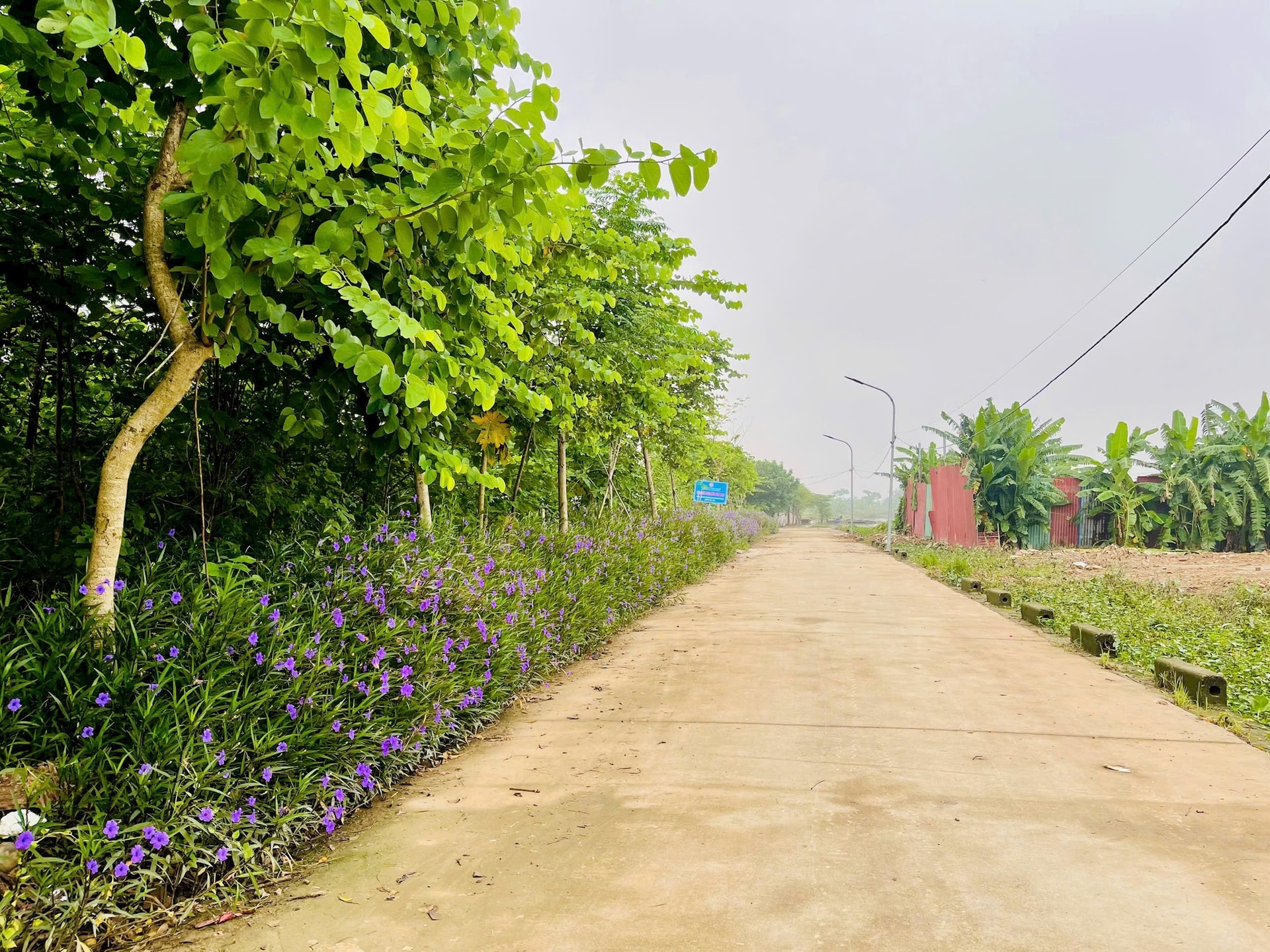 song-phuong4.jpg