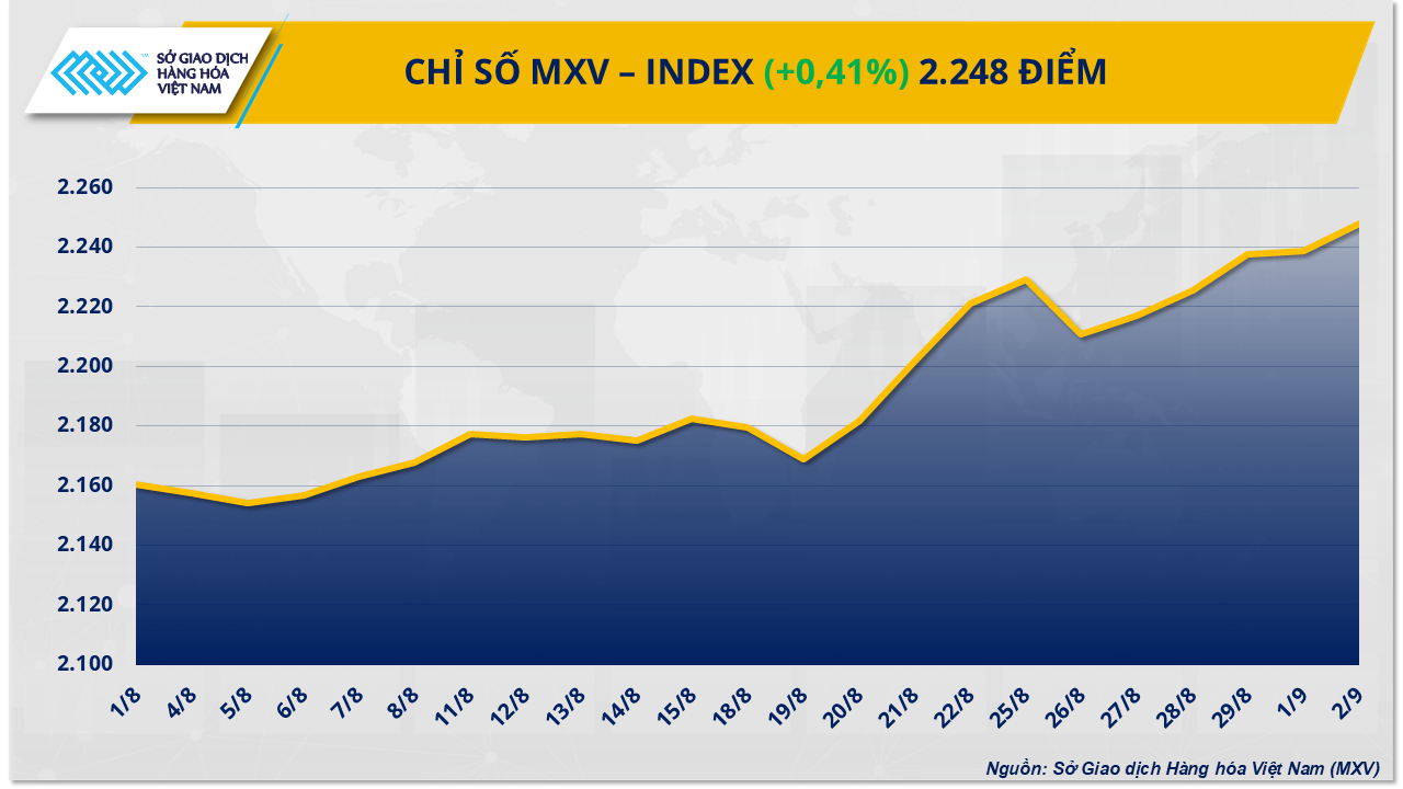 mxv-index.png সম্পর্কে