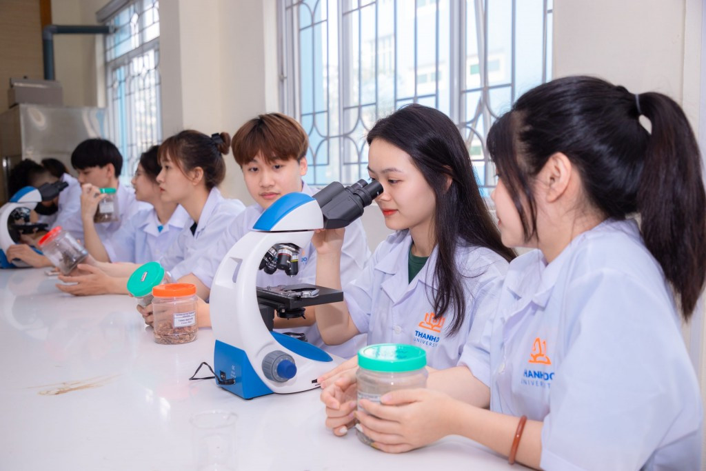 Bệ phóng đưa giáo dục Việt Nam vươn tầm trong kỷ nguyên mới Bệ phóng đưa giáo dục Việt Nam vươn tầm trong kỷ nguyên mới