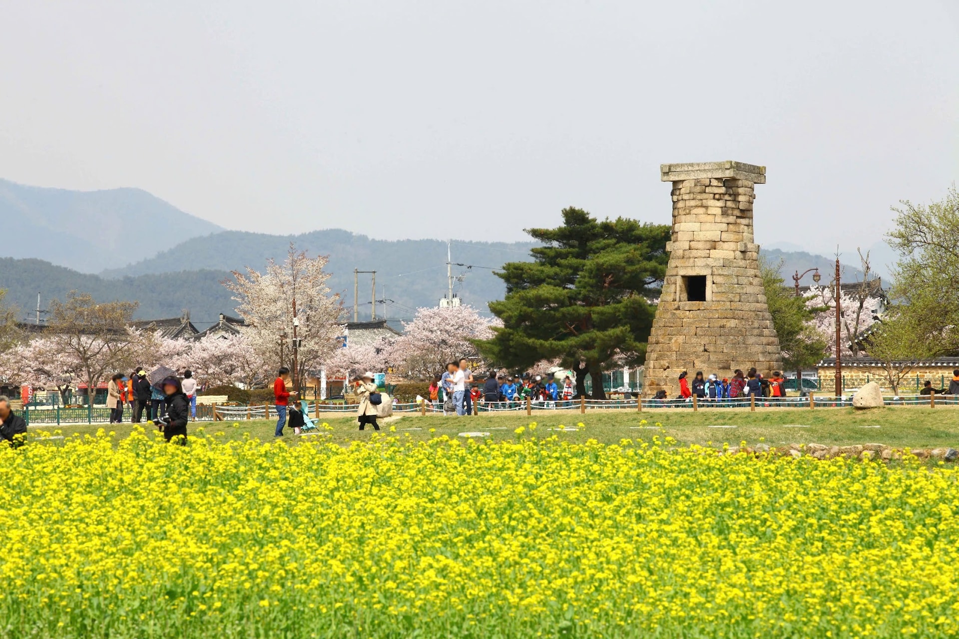 le-hoi-hoa-anh-dao-gyeongju.jpg