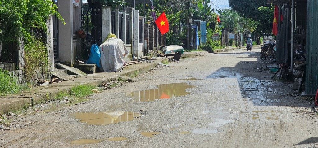 Giá cá tăng chóng mặt, đường làng ven Thu Bồn trở nên dang dở ?