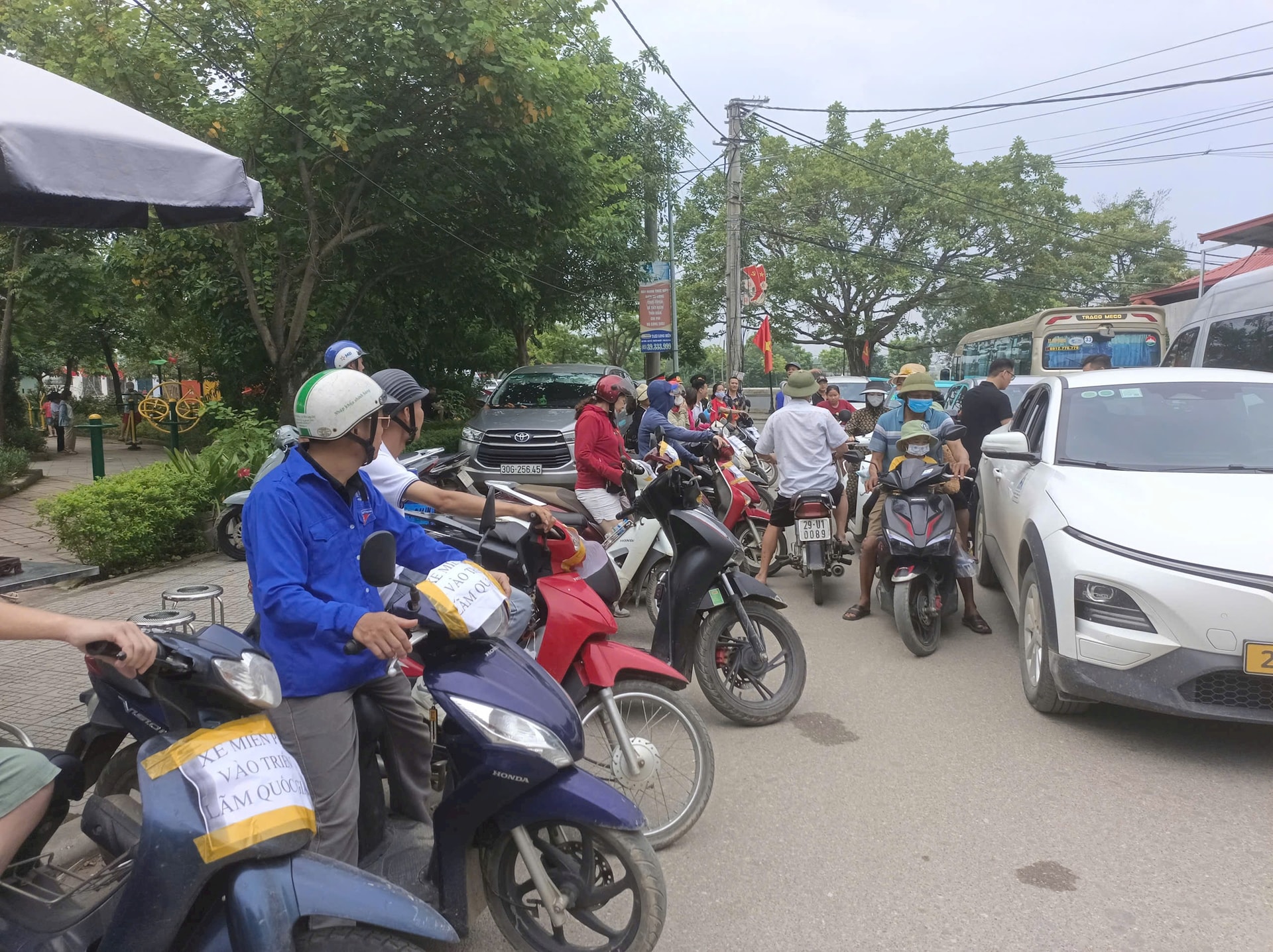 dong-anh-3.jpg