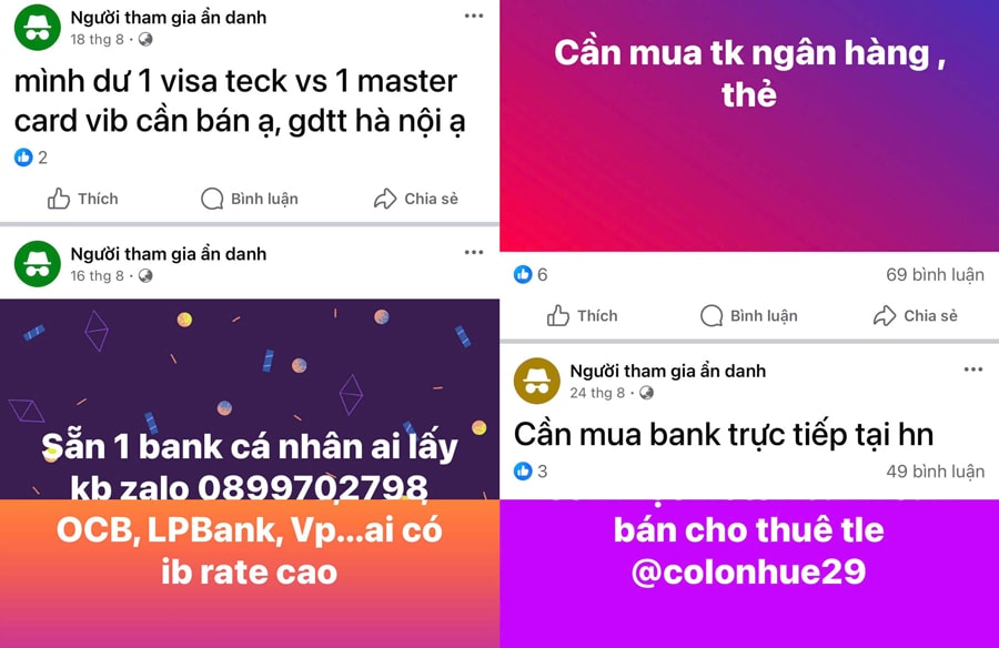 mang-xh.jpg