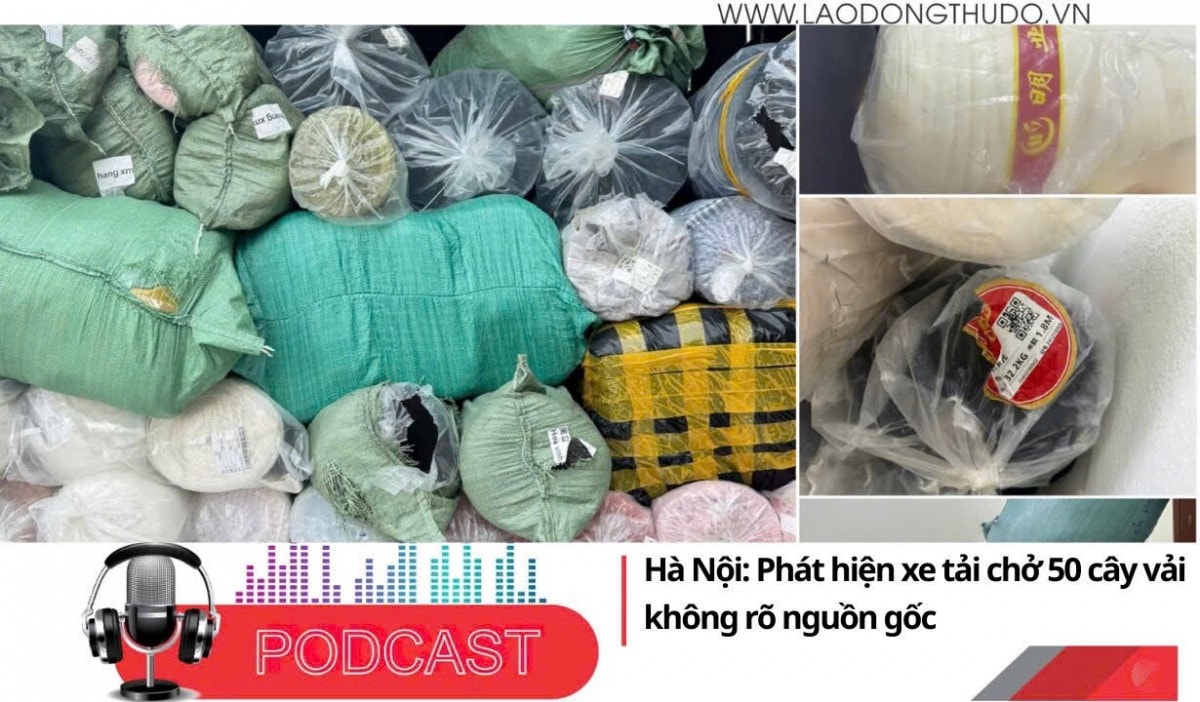 Điểm những tin nổi bật sáng ngày 11/9/2025: Hà Nội: Phát hiện xe tải chở 50 cây vải không rõ nguồn gốc