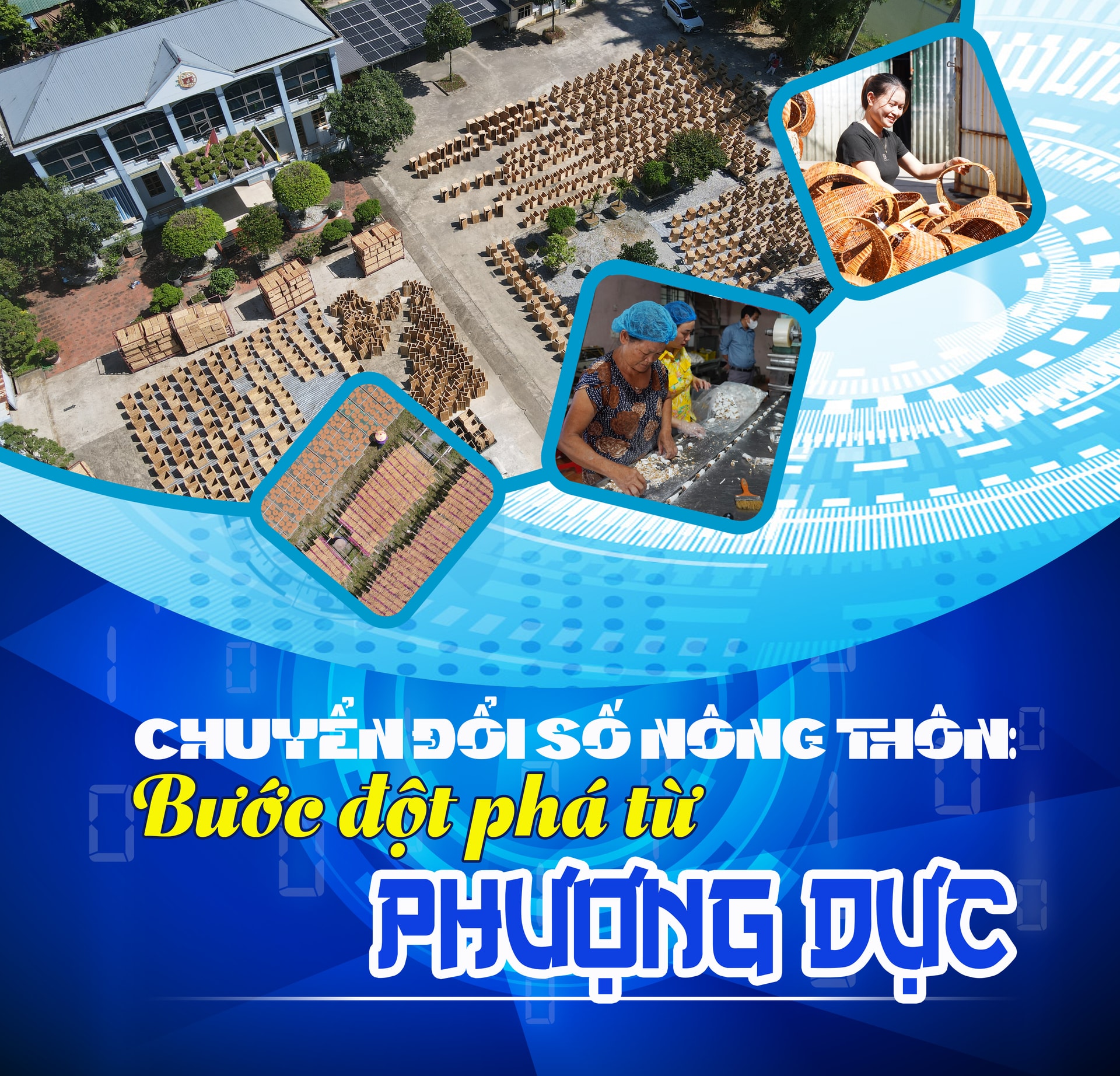 cover-nt-phuong-duc1(1).jpg