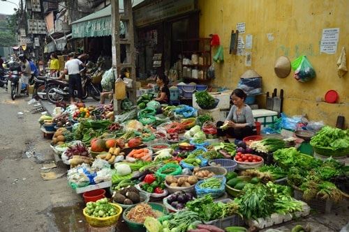hanoimoi.vn