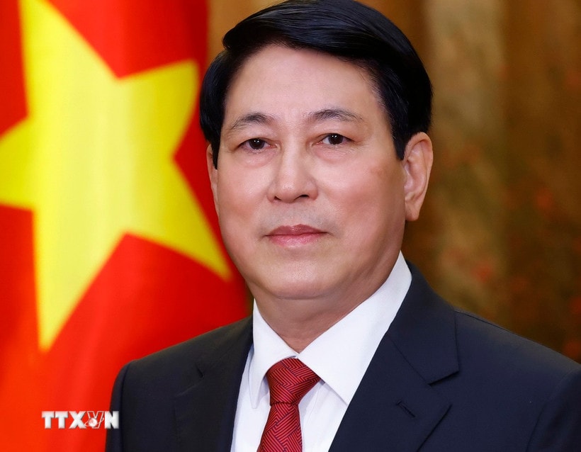 Chủ tịch nước Lương Cường. (Ảnh: Lâm Khánh/TTXVN)