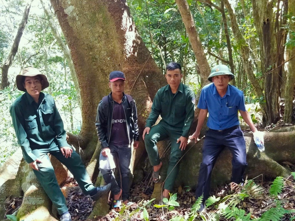Phát huy hiệu quả trong công tác quản lý, bảo vệ rừng