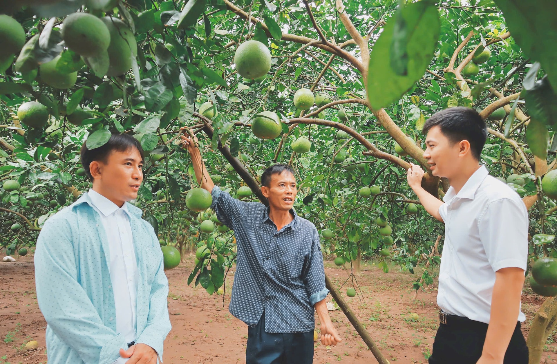 model-in-the-morning-at-the-Red-river-land-in-Van-Ha-village-Phuc-Loc-Xa-Brings-a-stable-income..jpg