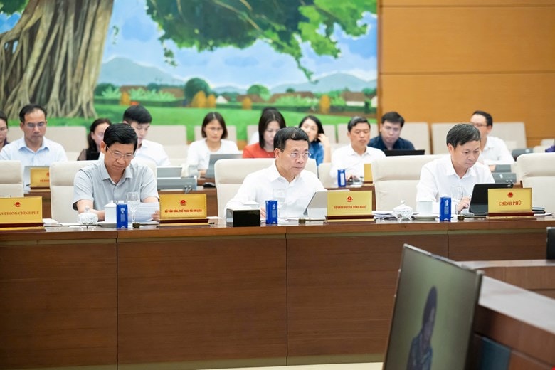 dai-bieu-shtt.jpg