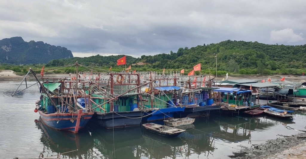 Quảng Ninh đã ra văn bản tạm ngừng cấp phép tàu từ 10h ngày 24/9 để ứng phó và phòng chống cơn bão số 9