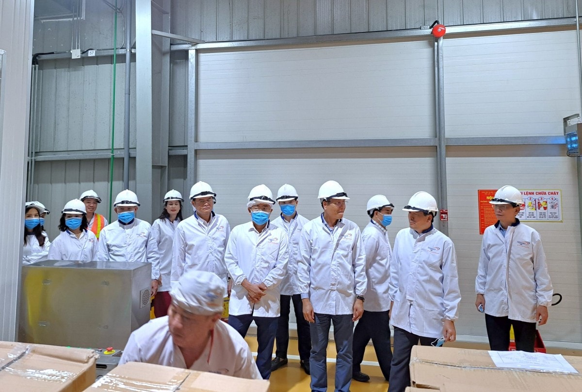 Nghệ An tăng cường quản lý công tác ATVSLĐ, đảm bảo quyền lợi cho người lao động