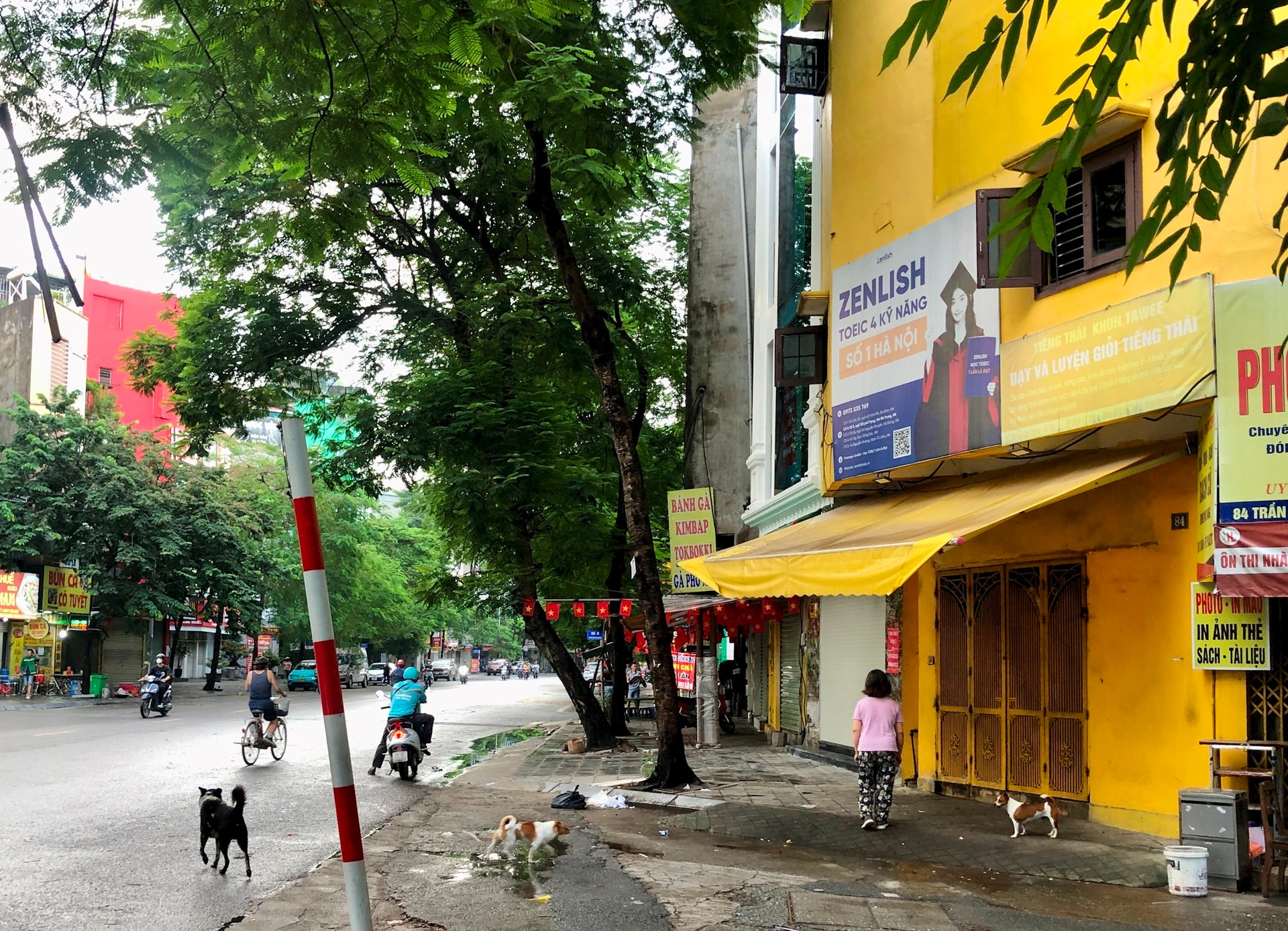 Many-dogs-are-walking-without-wearing-belts-on-Tran-Dai-Nghia-Street-Bach-Mai-Phuong..jpg