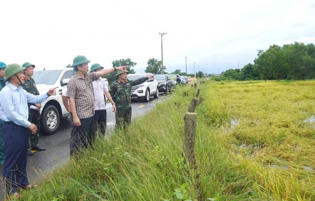 Nhiều hecta hoa màu bị ngập, gãy đổ 