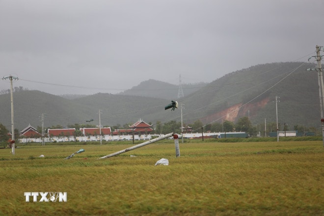 ttxvn-tan-hoang-sau-bao-so-10-o-thanh-hoa-8303870-8.jpg