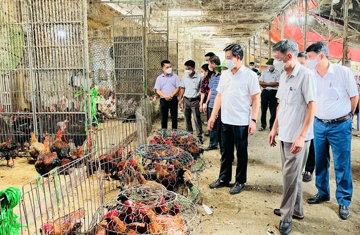 មន្ទីរកសិកម្ម និងបរិស្ថានទីក្រុងហាណូយ ចុះពិនិត្យប្រភពអាហារនៅផ្សារហាណូយខេម ឆ្ងាយពីផ្លូវ។-anh-huong-giang.jpg