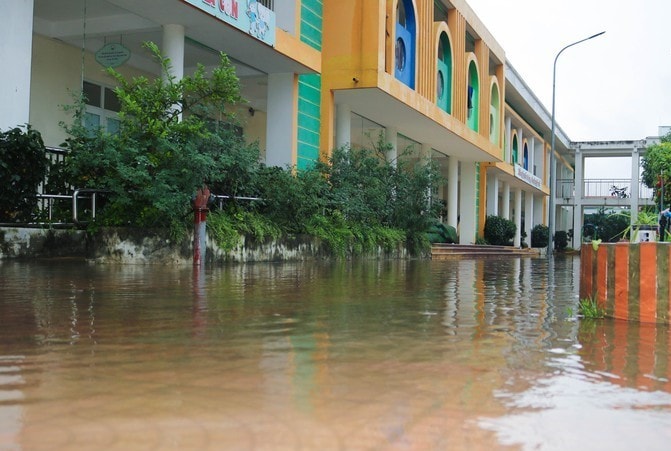 quoc-oai1.jpg