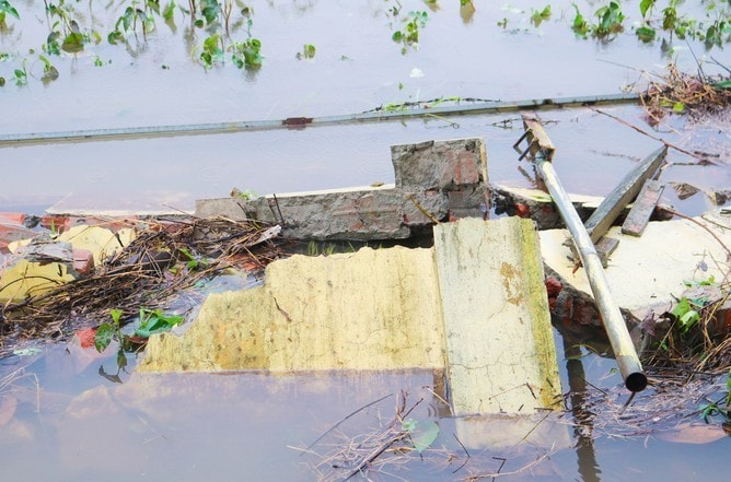 quoc-oai2.jpg