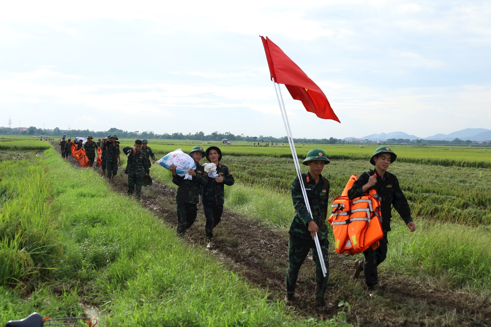 bo-doi-1.jpg