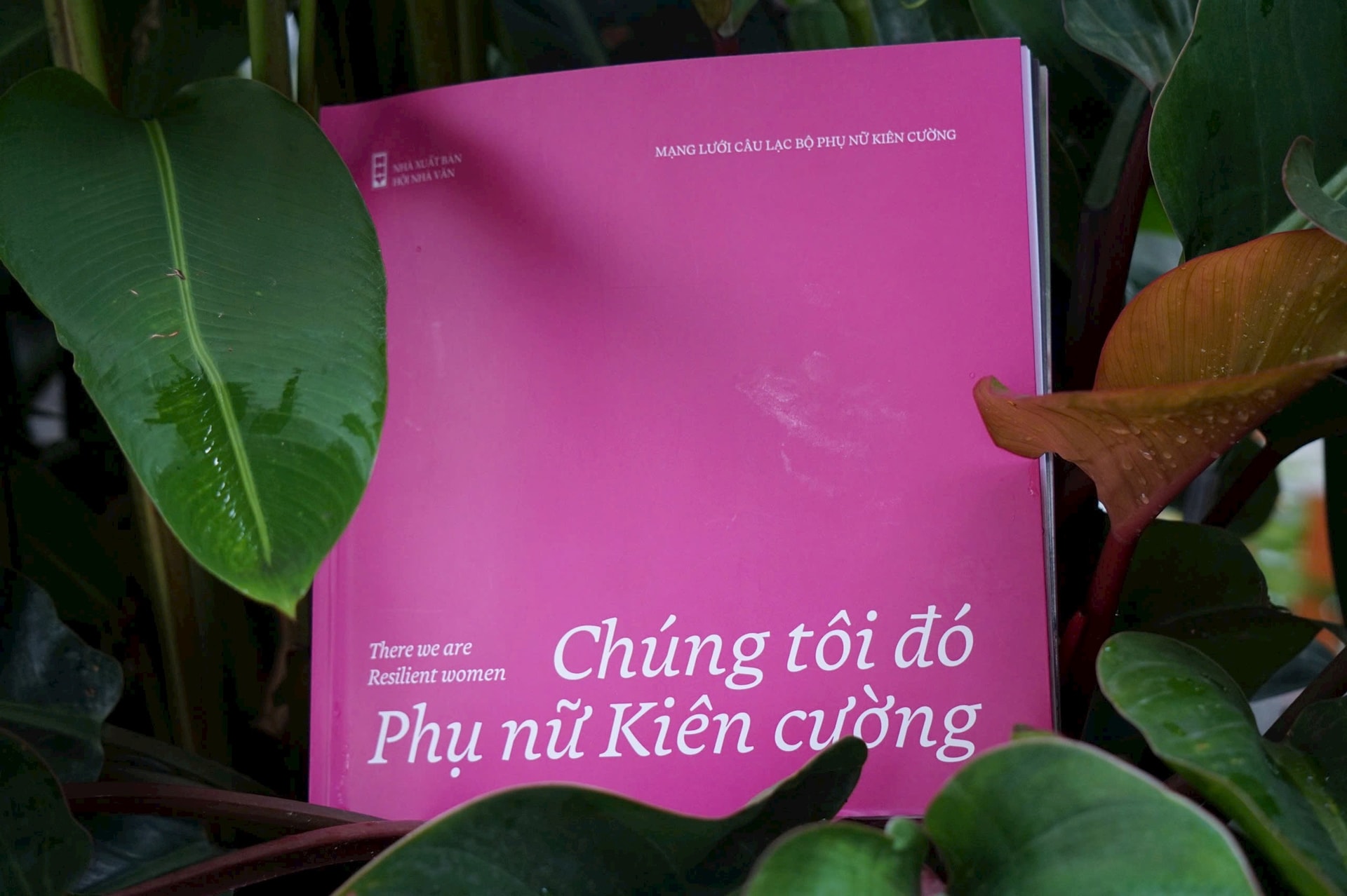 chung-toi-do-.jpg