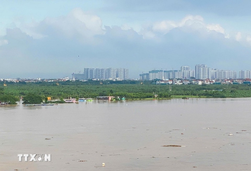 Nước sông Hồng đã dâng cao khiến nhiều khu vực bãi giữa sông Hồng Hà Nội bị cô lập. (Ảnh : Phan Phương/TTXVN)