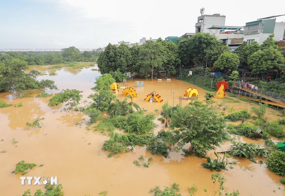 Công viên rừng Phúc Tân bị nước sông nhấn chìm. (Ảnh: Phan Phương/TTXVN)