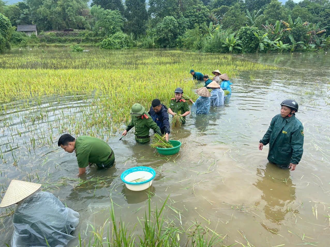Thủ tướng yêu cầu phải thần tốc hơn nữa, huy động tối đa lực lượng khắc phục nhanh nhất hậu quả bão, mưa lũ- Ảnh 1. Thủ tướng yêu cầu phải thần tốc hơn nữa, huy động tối đa lực lượng khắc phục nhanh nhất hậu quả bão, mưa lũ- Ảnh 1.