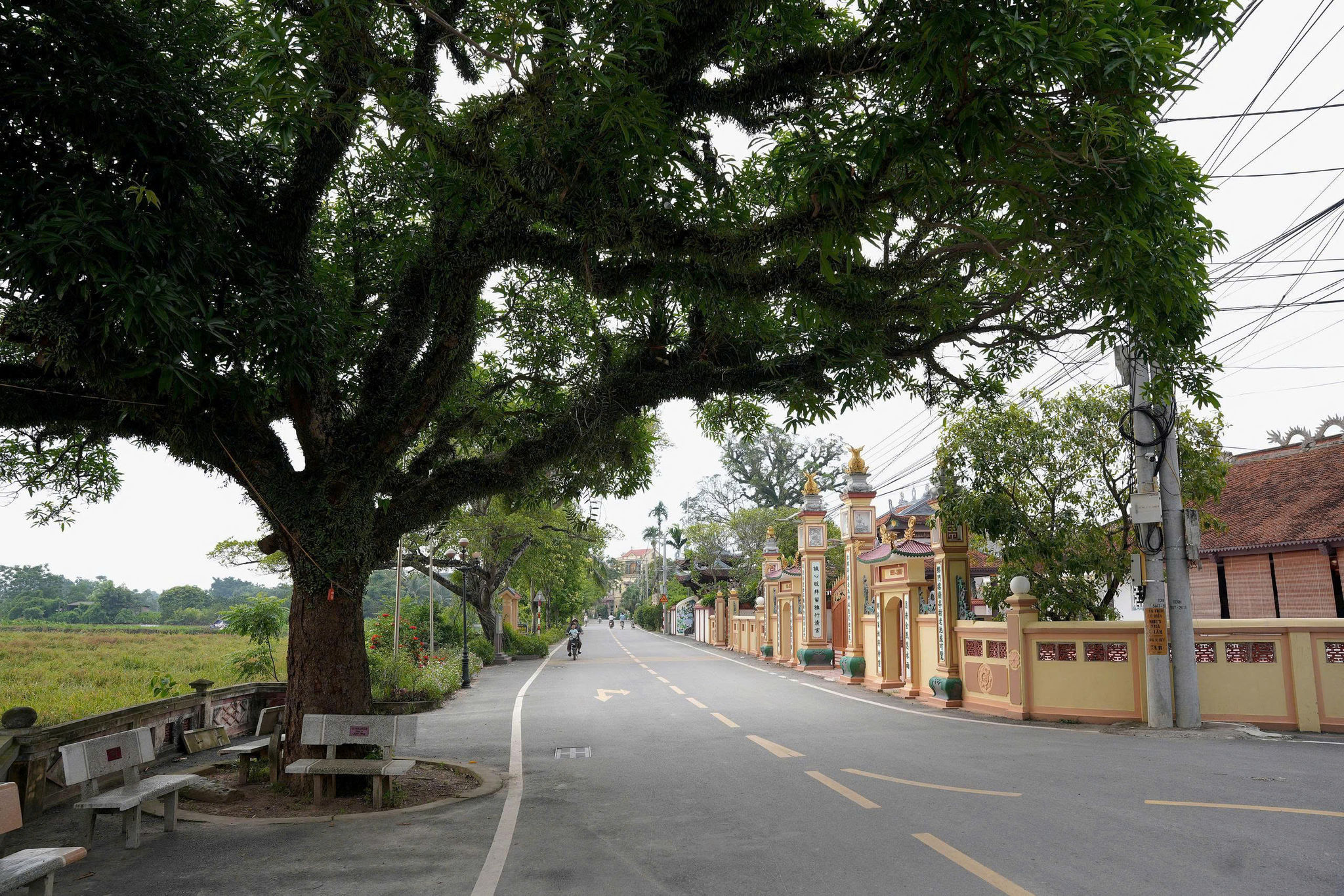 xa-van-dinh3.jpg