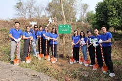 Vietravel trồng 1.000 cây hoa ban tri ân mảnh đất Điện Biên