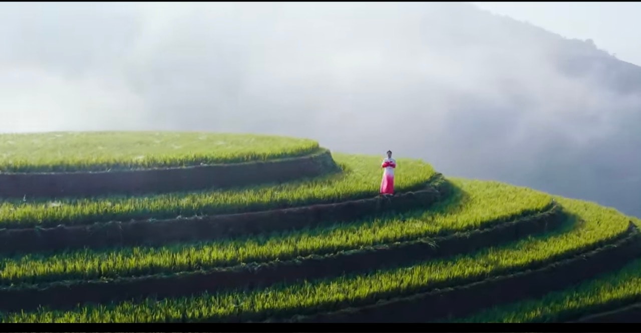 mv.jpg