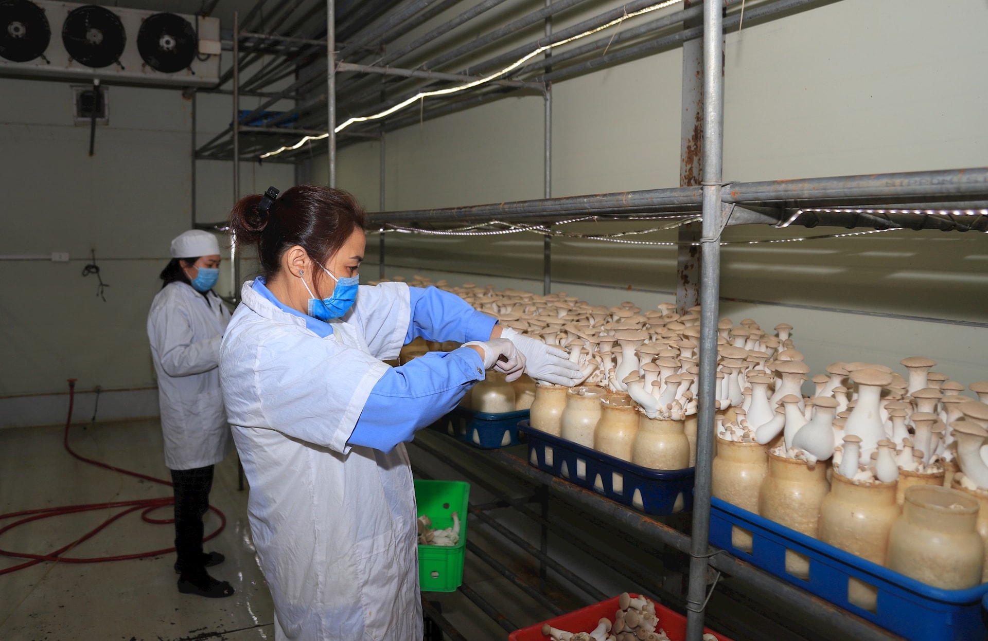 KMS-joint-company-investing-in-production-and-trading-xay-kim-anh-.-anh-nguyen-quang.jpg의 첨단 응용 생산