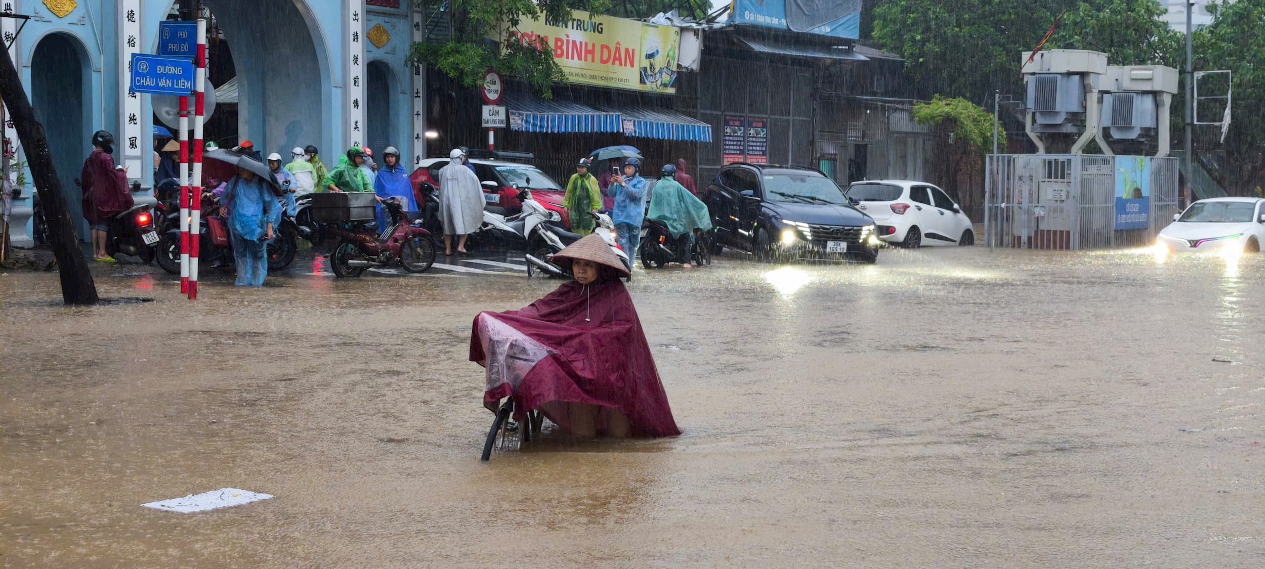 le-quang-dao2.jpeg
