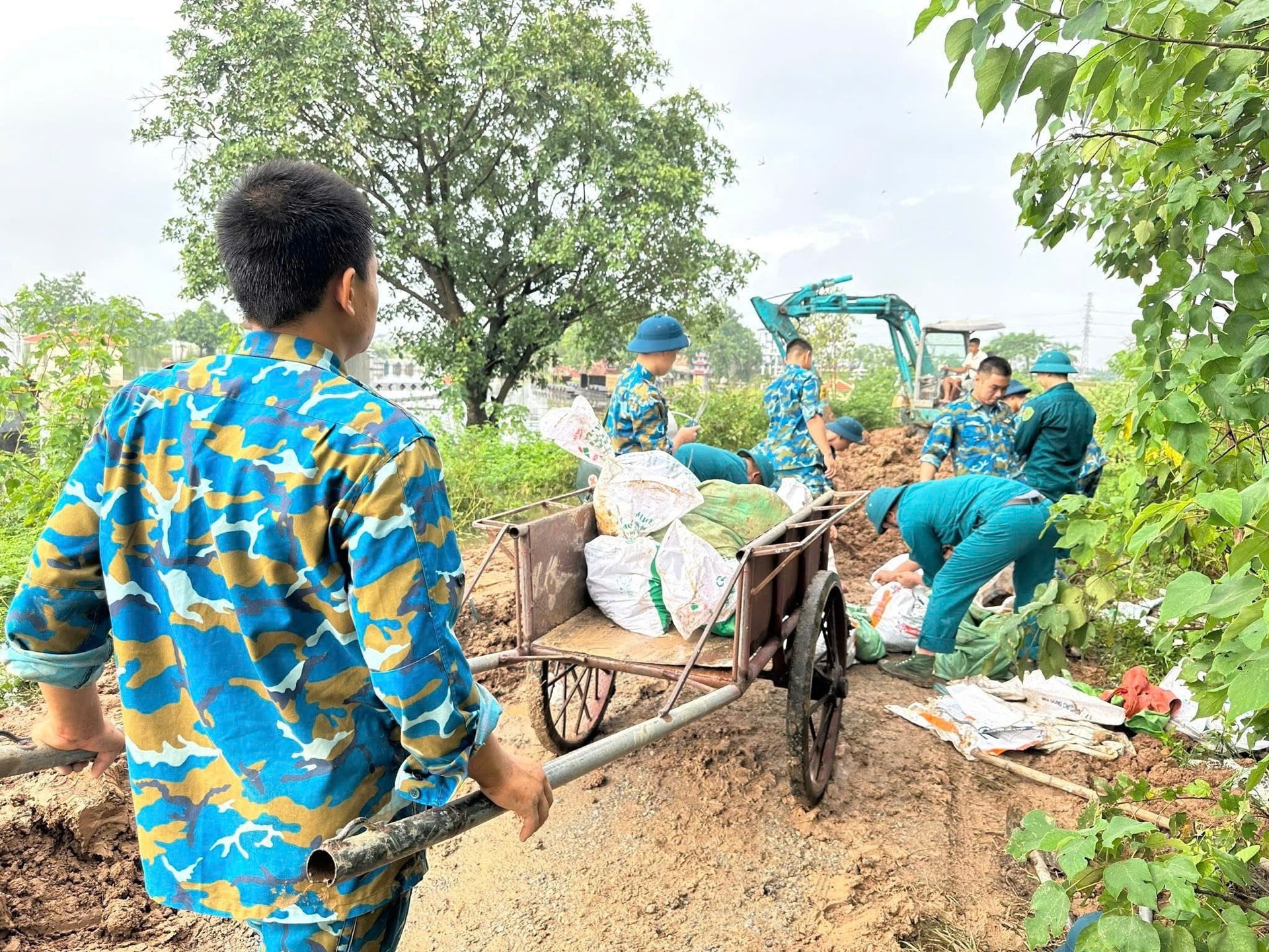 thu-lam-6.jpg