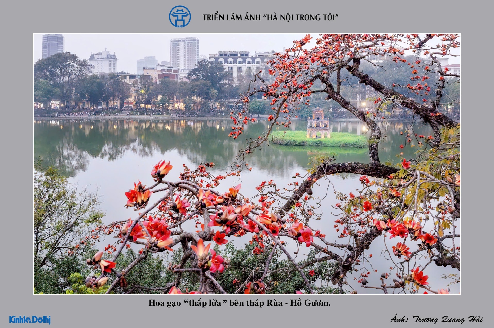 ha-noi-trong-toi-4.jpg