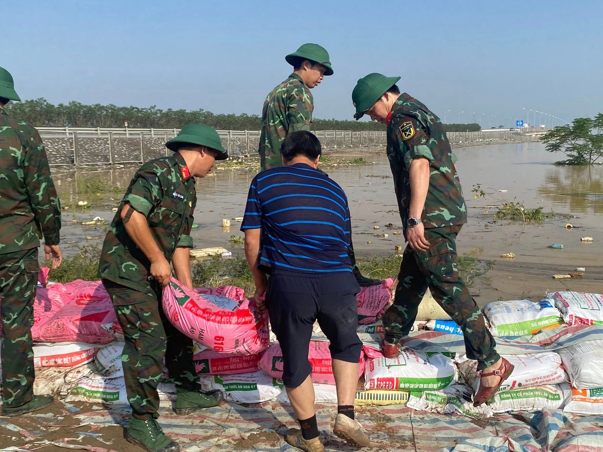 a391.de-tam-giang.jpg