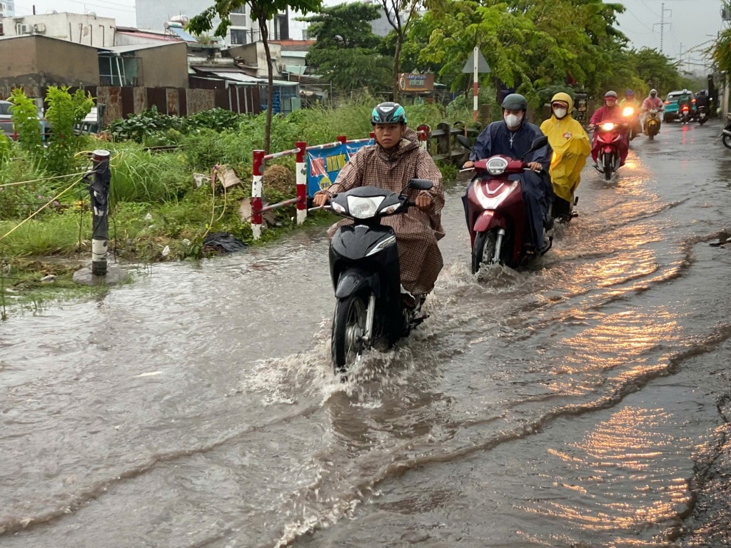 Ảnh minh họa Ảnh minh họa